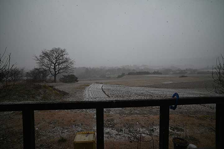 20260103_2.jpg 20260103_2.jpg