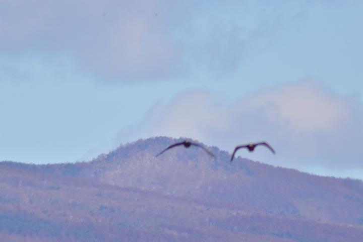 20260103_24.jpg 20260103_24.jpg