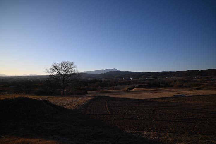 今日は来なさそう