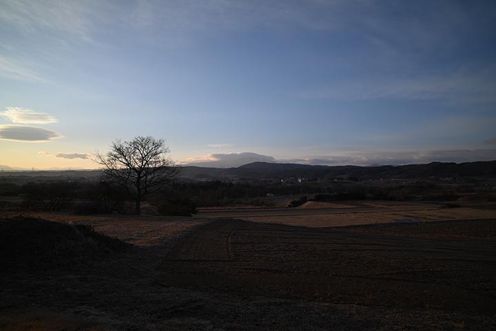 Temu購入望遠鏡到着・組立＆Amazon購入物到着