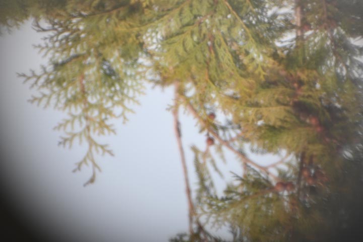 20260105_22.jpg 20260105_22.jpg