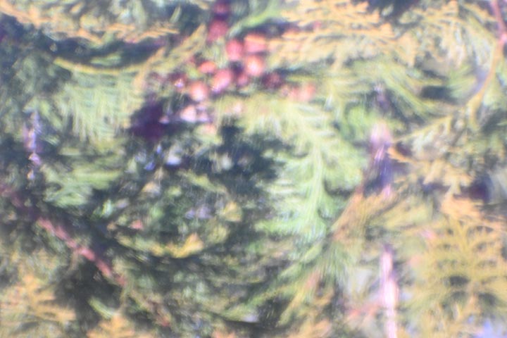 20260105_23.jpg 20260105_23.jpg