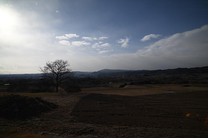 20mmと50mmの比較