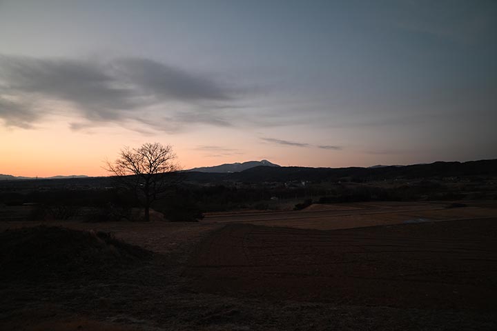 SDXCV60カード・Temu購入物 到着