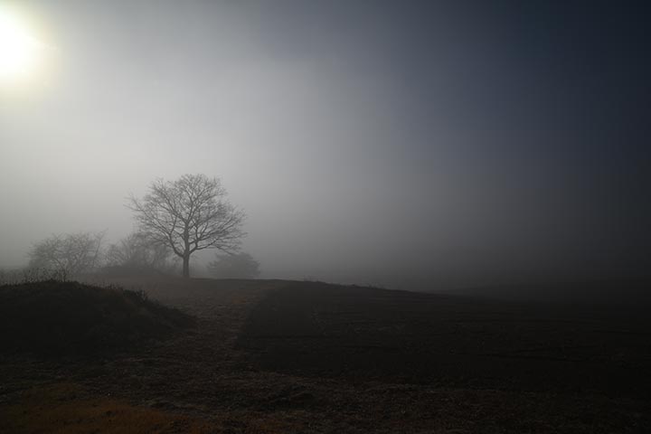 ワイパー交換＆14ｍｍ撮試＆Temu購入物到着