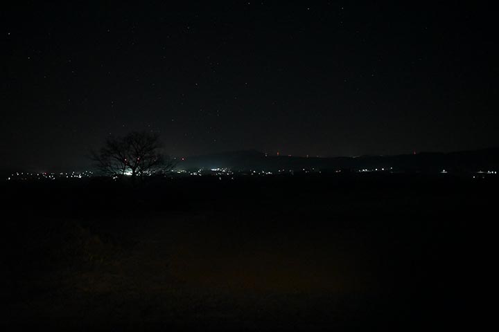 やっと効果が発揮されました