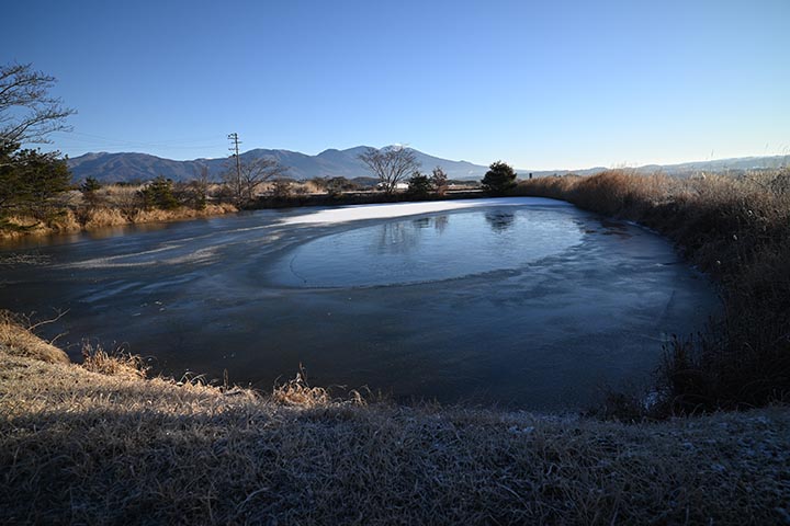 20260123_5.jpg 20260123_5.jpg