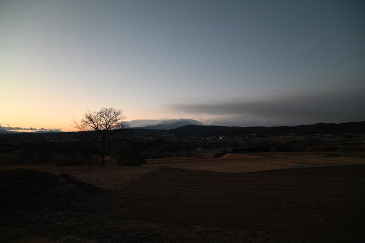 プロテインとシリカゲル到着