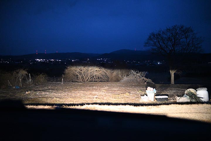 20260124_6.jpg 20260124_6.jpg