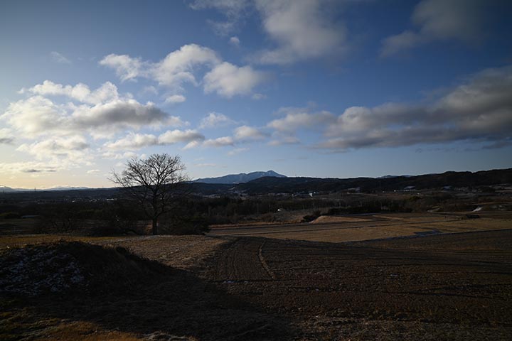 Temu購入物到着＆VILTROXの話