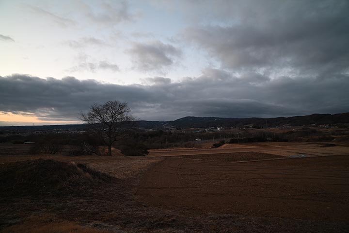 ニコン 新レンズ到着