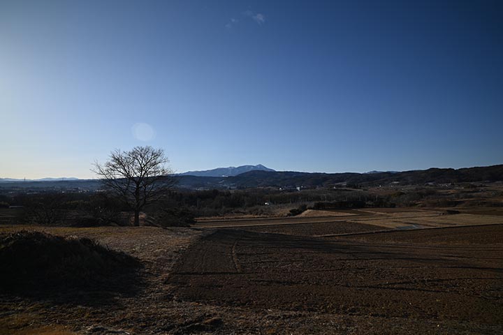 20mmと40mmの画角の比較