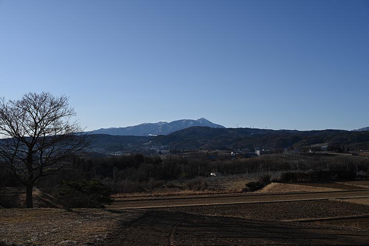 20260131_2.jpg 20260131_2.jpg