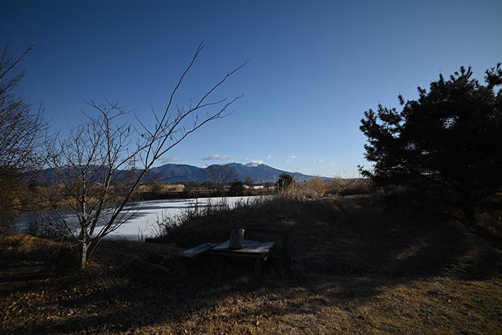 20260131_5.jpg 20260131_5.jpg