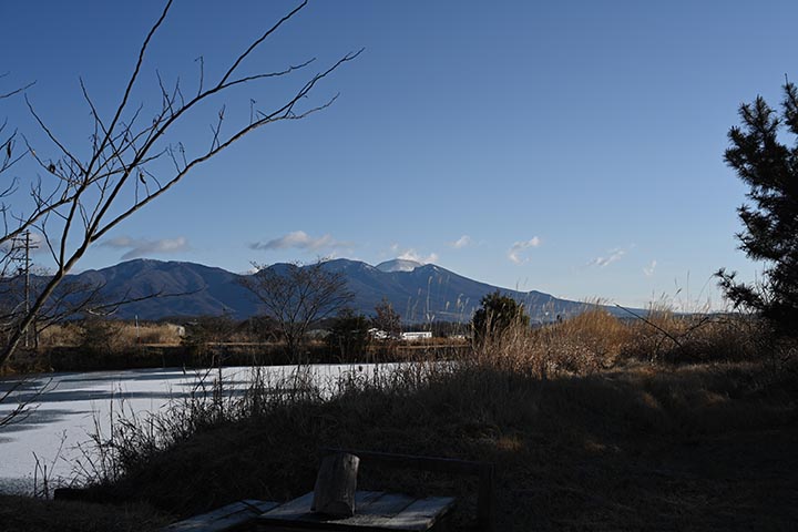 20260131_6.jpg 20260131_6.jpg