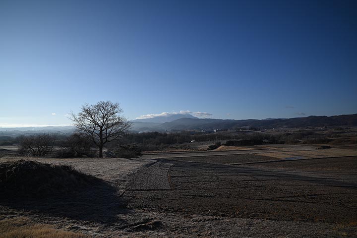 確定申告作成開始