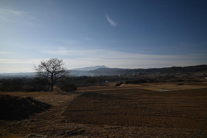 Temu購入物到着&ワイパー試着