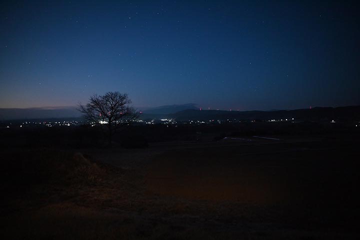 三脚定点撮影＆Temu購入物到着