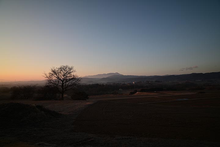 20260218_1.jpg 20260218_1.jpg