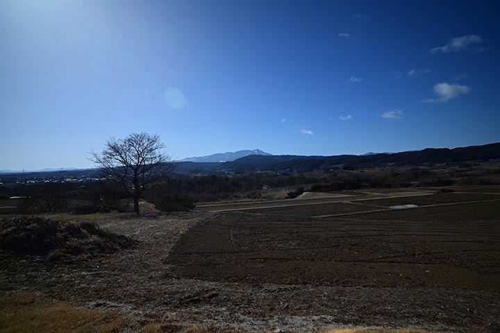 20260219_1.jpg 20260219_1.jpg