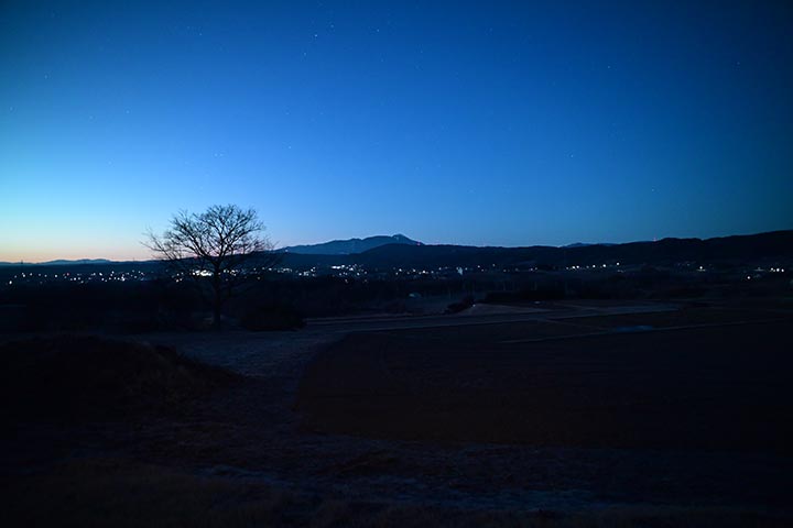 ちゃんと認識した