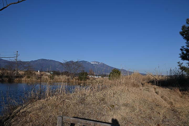 20260221_8.jpg 20260221_8.jpg