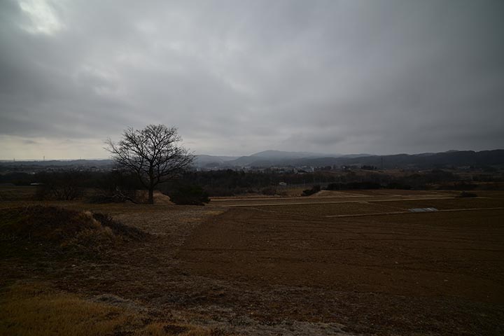 相続税の申告の要否