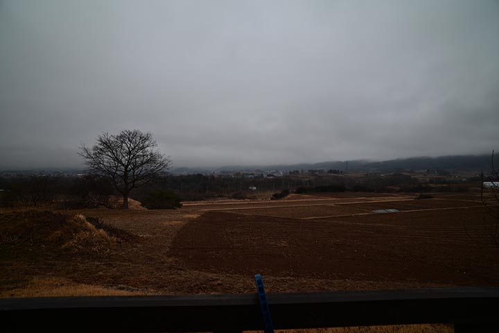 メンドイ明日の予定とAmazon購入物到着