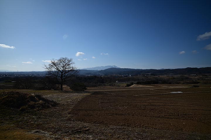 疲れがとり切れないので