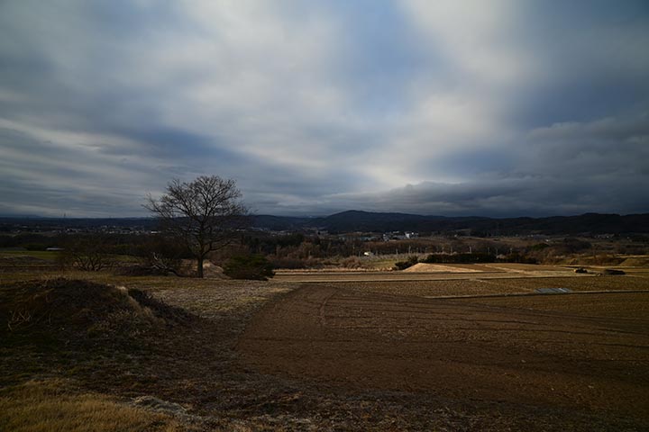 病院＆タイヤ受取＆タイヤ交換＆枝垂桜