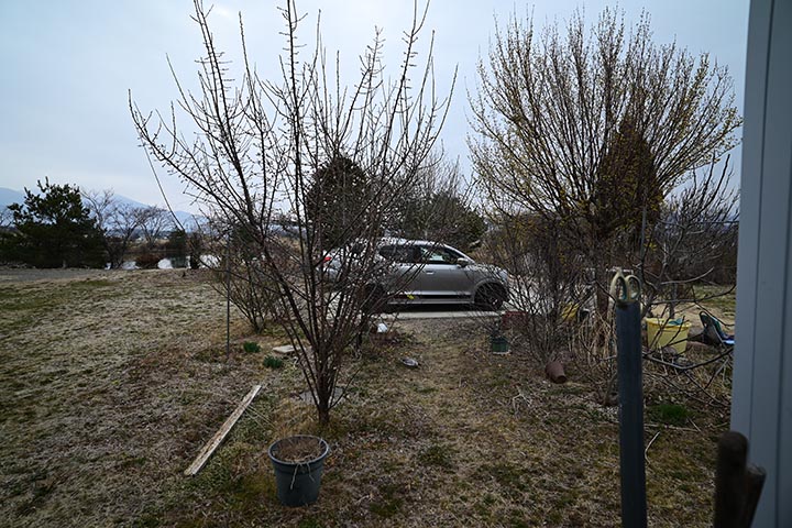 20260323_2.jpg 20260323_2.jpg