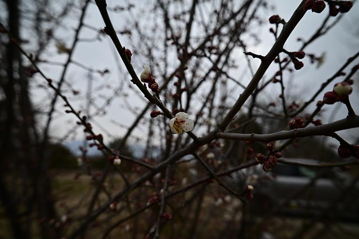 20260323_3.jpg 20260323_3.jpg