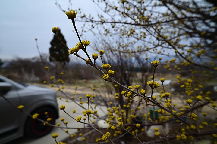 20260323_4.jpg 20260323_4.jpg